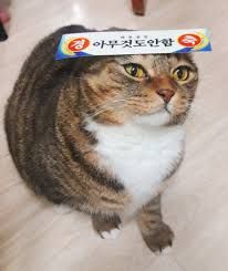 userThumbnail