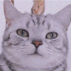 userThumbnail