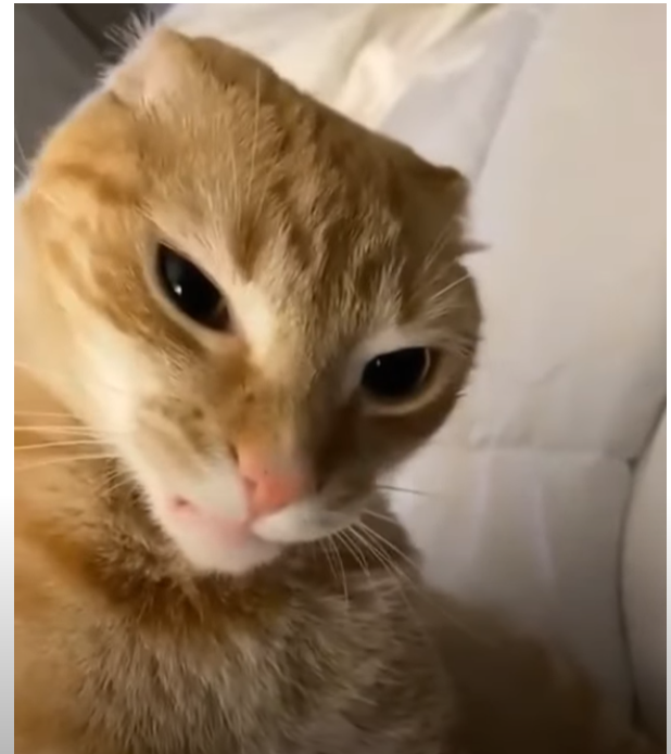 userThumbnail
