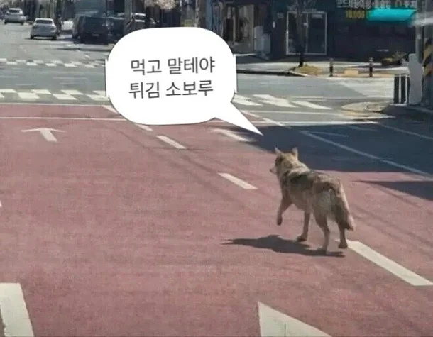 댓글 이미지