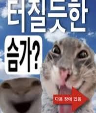 댓글 이미지