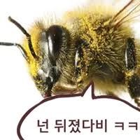 댓글 이미지