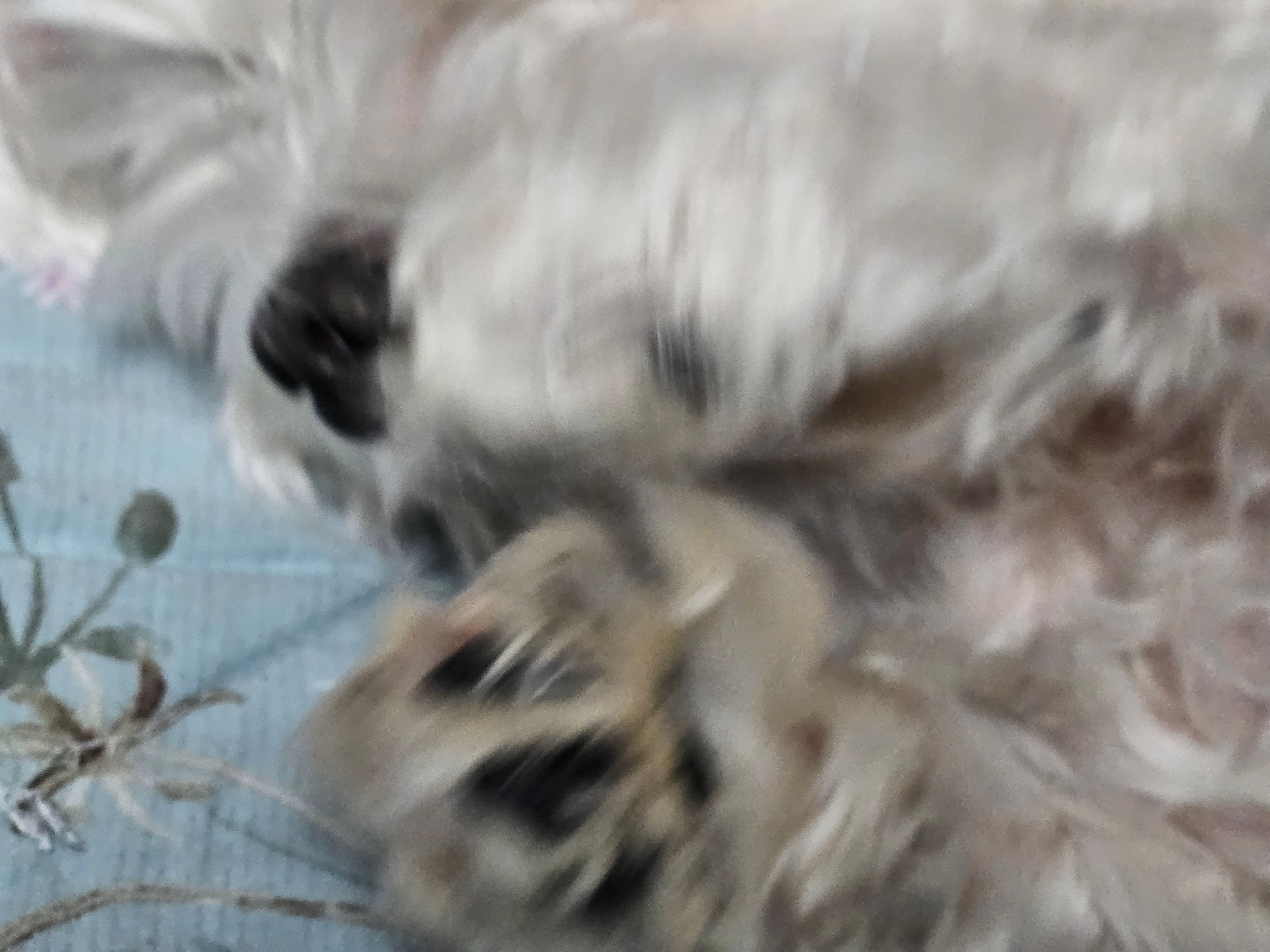 userThumbnail