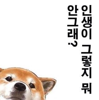 댓글 이미지