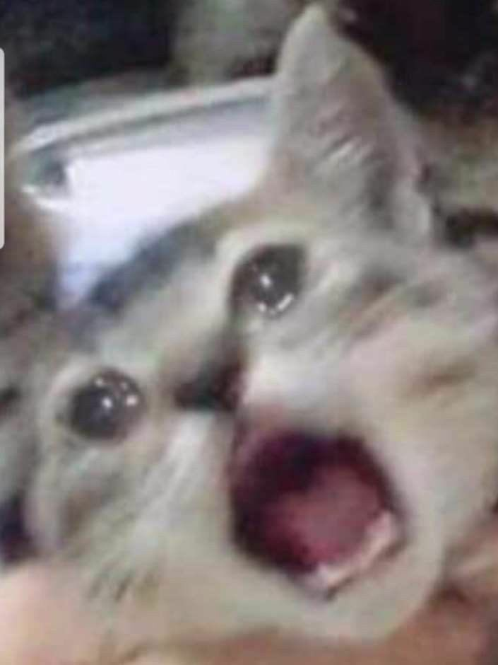 댓글 이미지