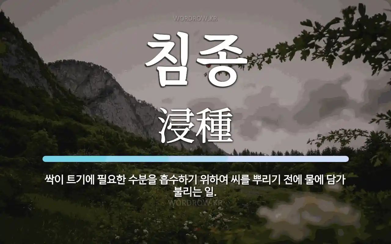댓글 이미지