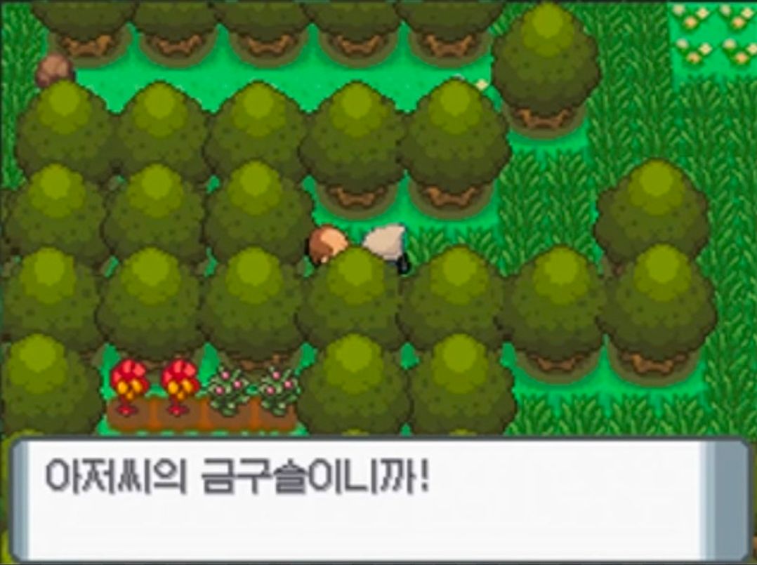 댓글 이미지