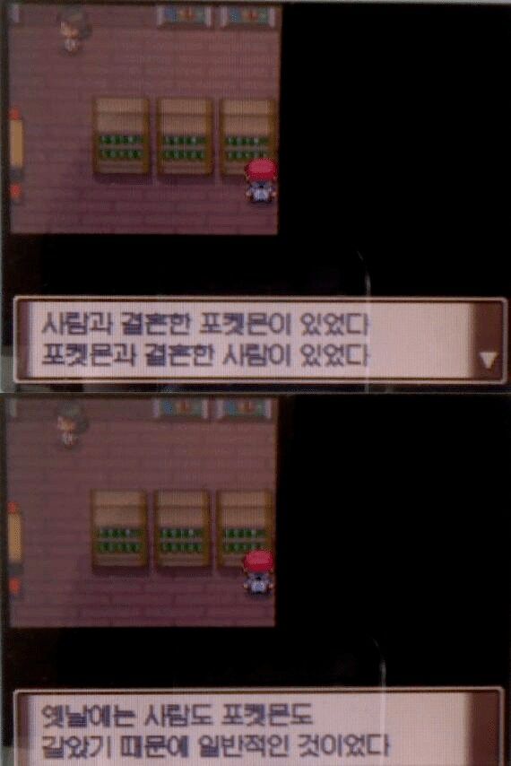 댓글 이미지