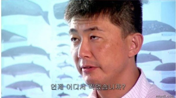 댓글 이미지