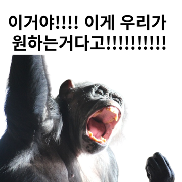 댓글 이미지