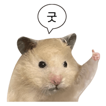 댓글 이미지