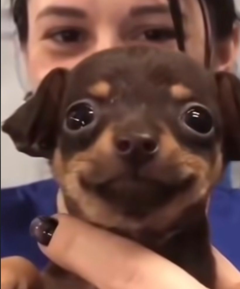댓글 이미지