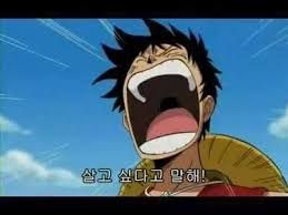 댓글 이미지