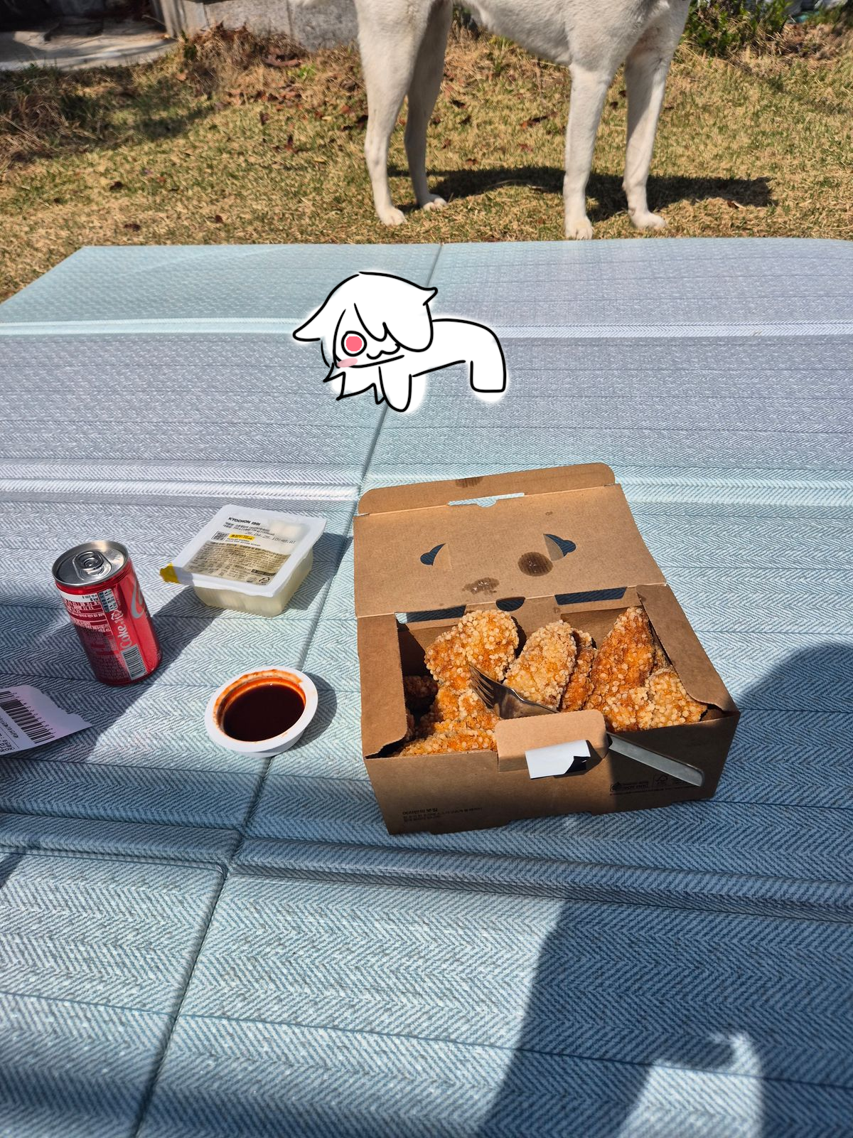 댓글 이미지