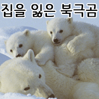 댓글 이미지