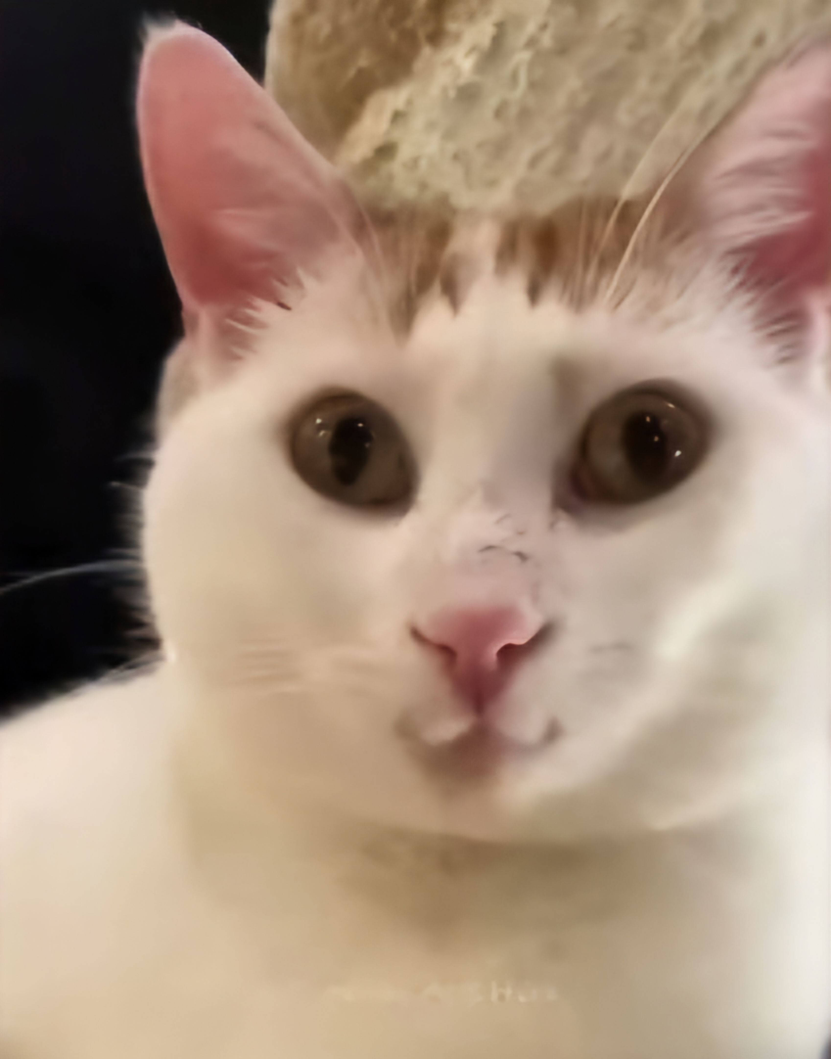 userThumbnail