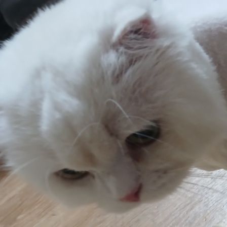 userThumbnail