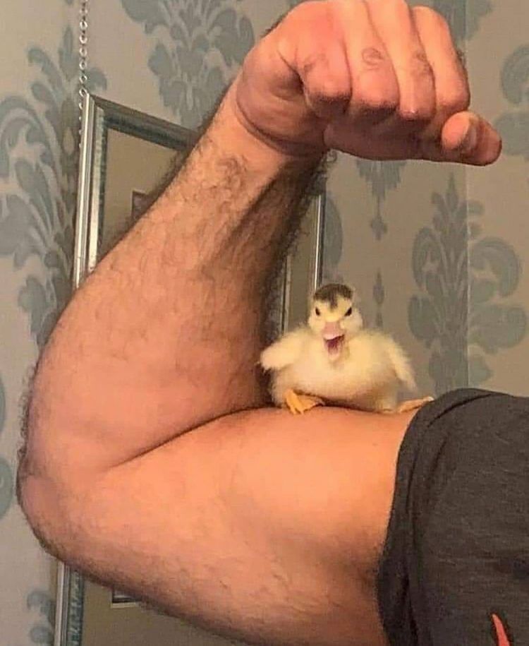 userThumbnail