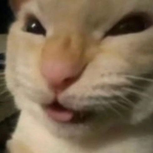 userThumbnail