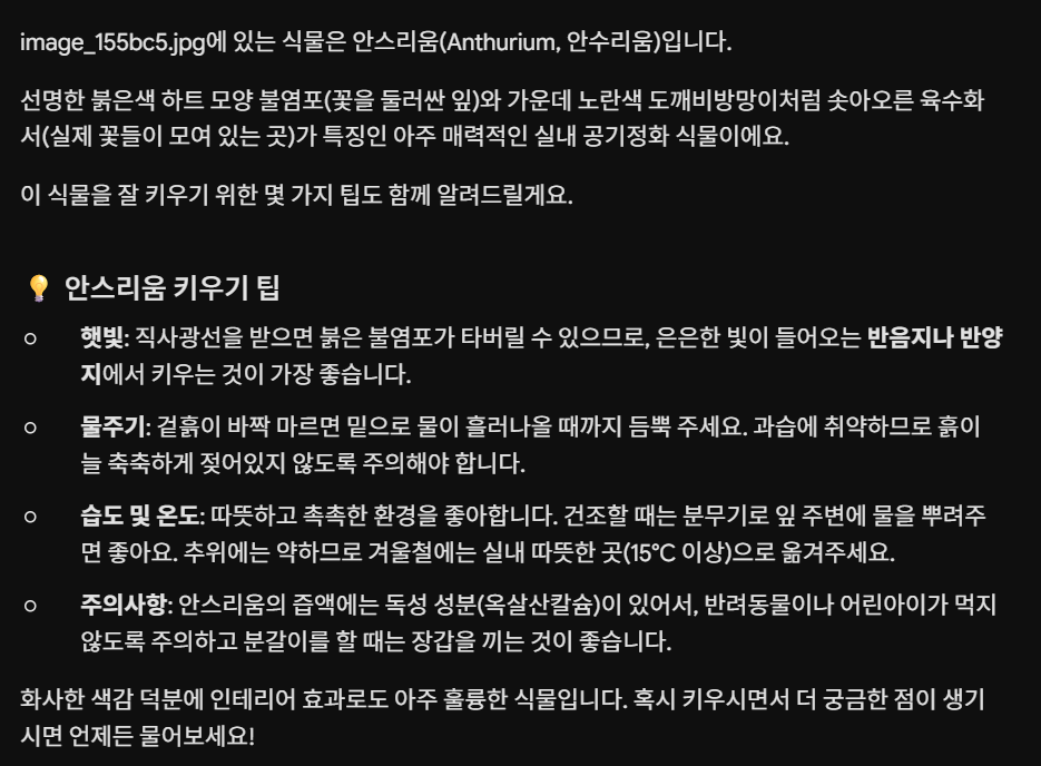 댓글 이미지