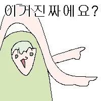댓글 이미지