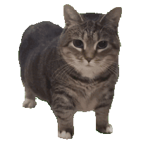 userThumbnail