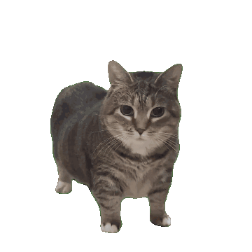userThumbnail