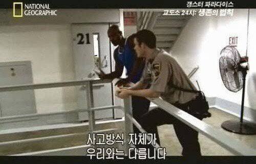 댓글 이미지