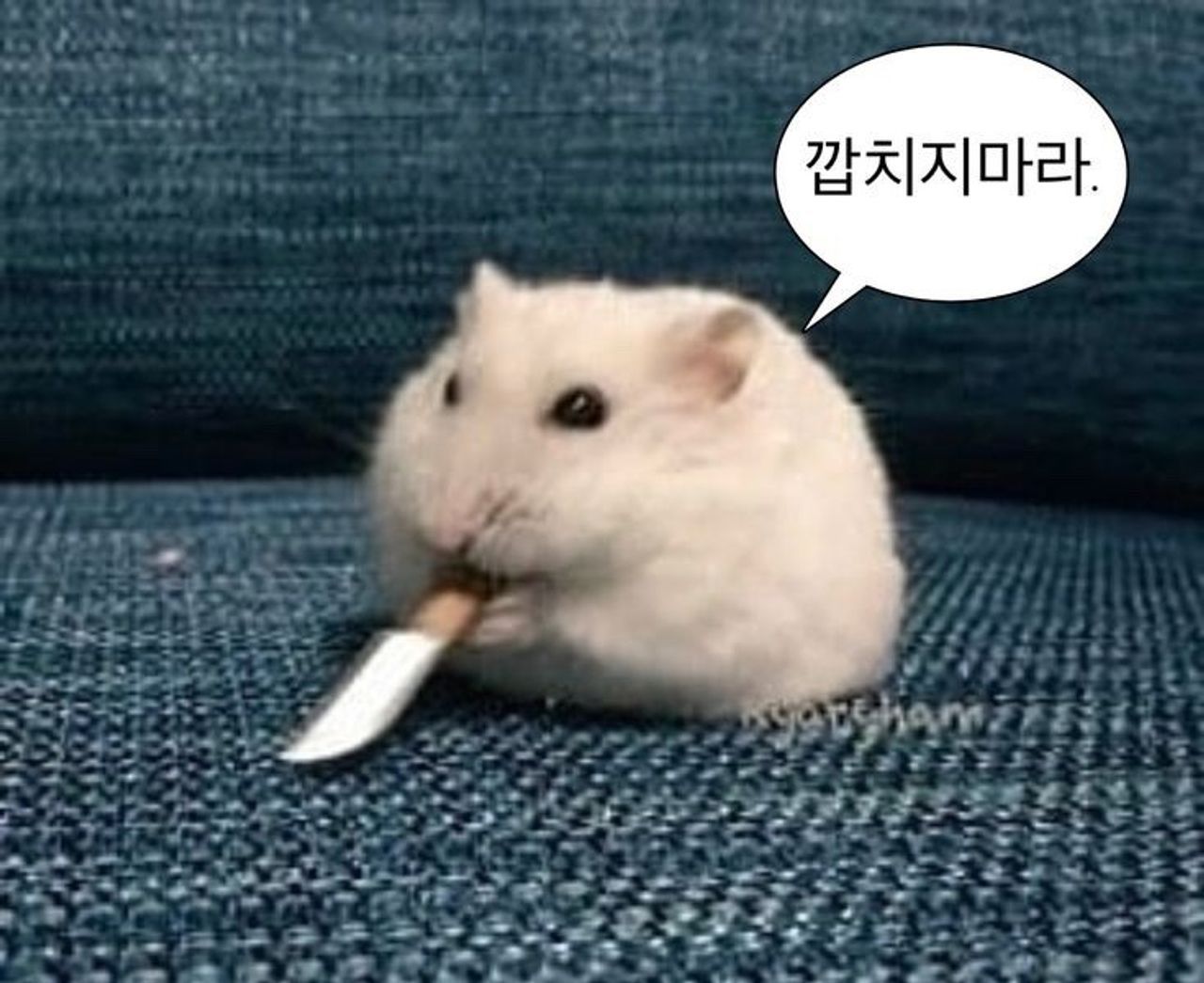 userThumbnail
