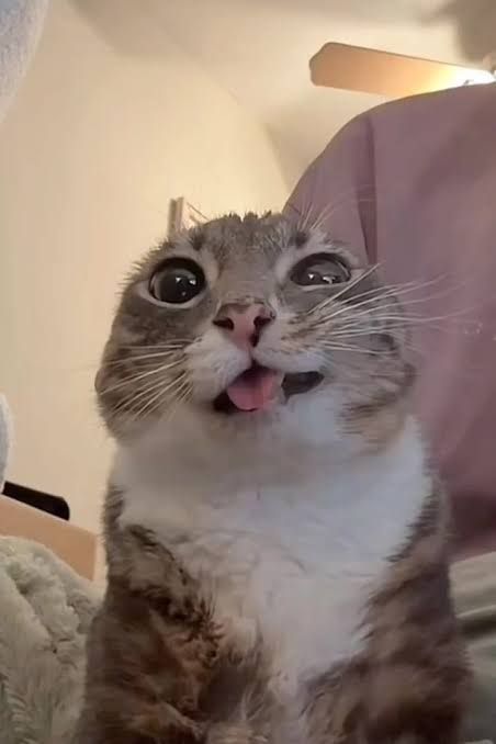 userThumbnail
