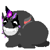 user-profile-image
