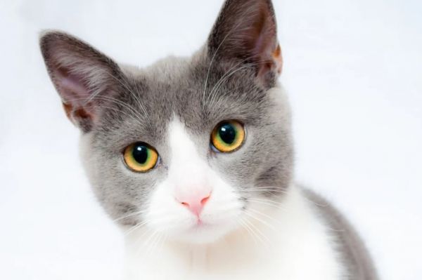user-profile-image
