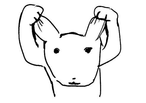 user-profile-image