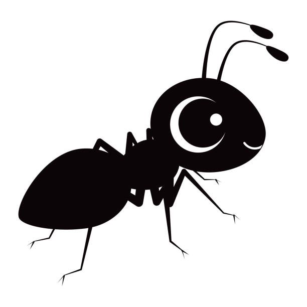 user-profile-image