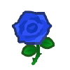 user-profile-image