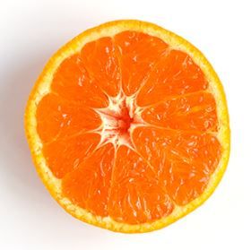 user-profile-image