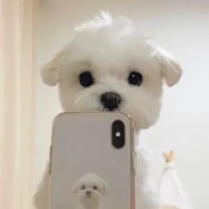 user-profile-image