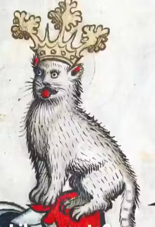 /u/3nnvI3nCWxdd1i34ocIW0Cbww1D3/images/1764952818862_c45ed335-2f1d-4775-8207-20c691b7aeb3