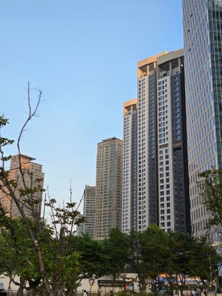 개멋있네