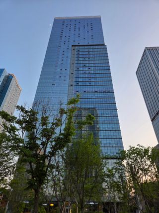 개멋있네