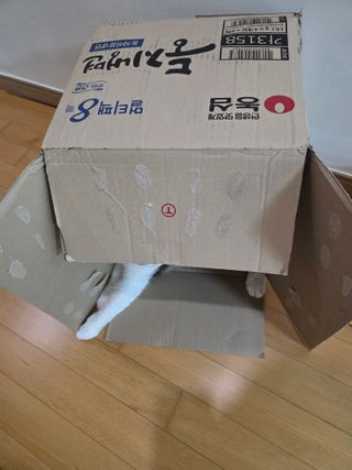 둥지냉면과 숙주나물