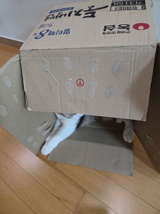둥지냉면과 숙주나물