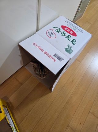 둥지냉면과 숙주나물