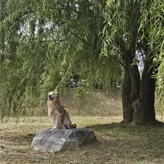 /u/12rxK5ak2cTcUjI9xSEvQl4bLV93/images/1758618818988_555da87e-051d-4a28-848e-5679b75faac2