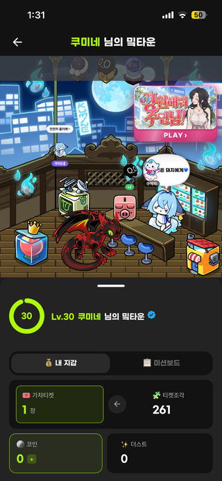 최대로 조각 모은 갯수 어느정도인가요?