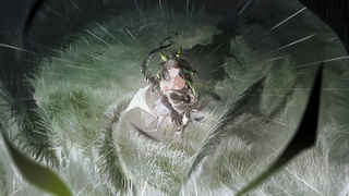 /u/2xBv7nLpB4XbX4XbcRdj71GXUvG2/images/1758180938713_814e0a3b-8955-4f7c-afc6-559d37fe86fe