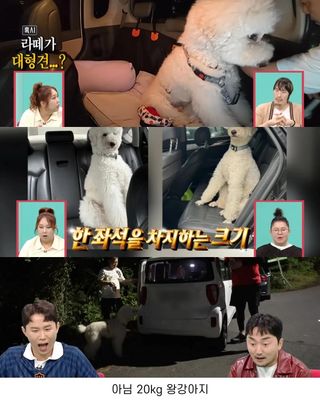 /u/2yC5H7ey5oXYbd64LRSxHXaNcB23/images/1760542455176_9d82ef07-03e4-4e86-851d-234c028a8478.jpg
