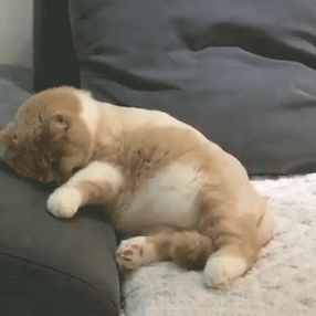/u/2yC5H7ey5oXYbd64LRSxHXaNcB23/images/1776302839390_063c44e8-5b1c-4eb8-a233-984de908df5f.gif