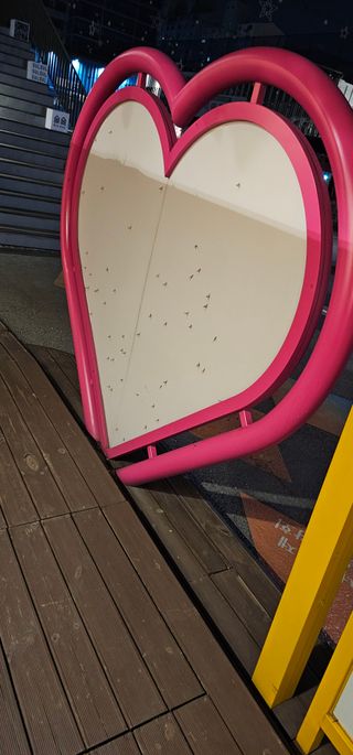 /u/2yC5H7ey5oXYbd64LRSxHXaNcB23/images/1778856915067_e6ad12ca-7d82-43a7-abbd-4de5af325ffe.jpg