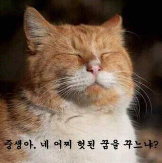 해봄 꿈